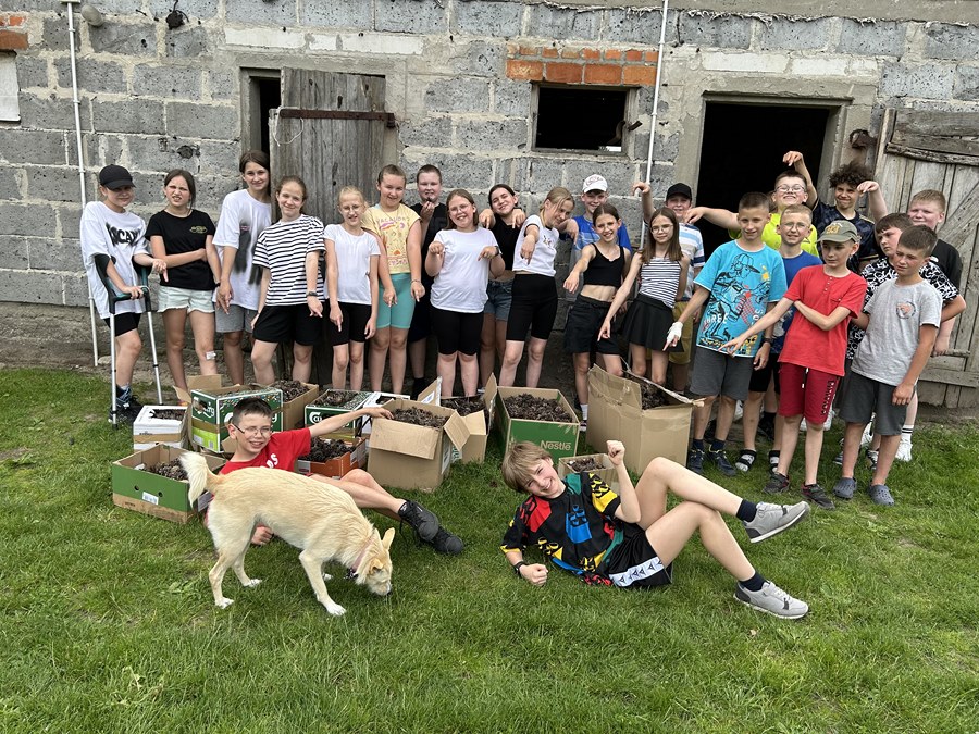 Tutaj powinien być opis