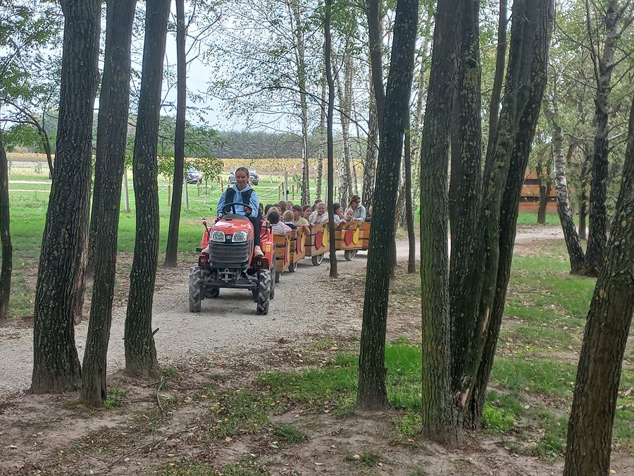 Tutaj powinien być opis