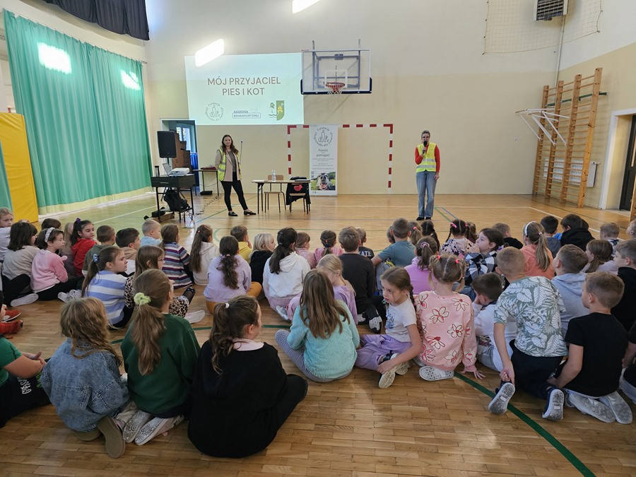 Tutaj powinien być opis