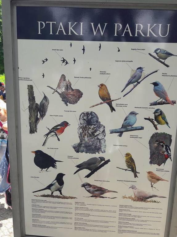 park_8.jpg park_8.jpg