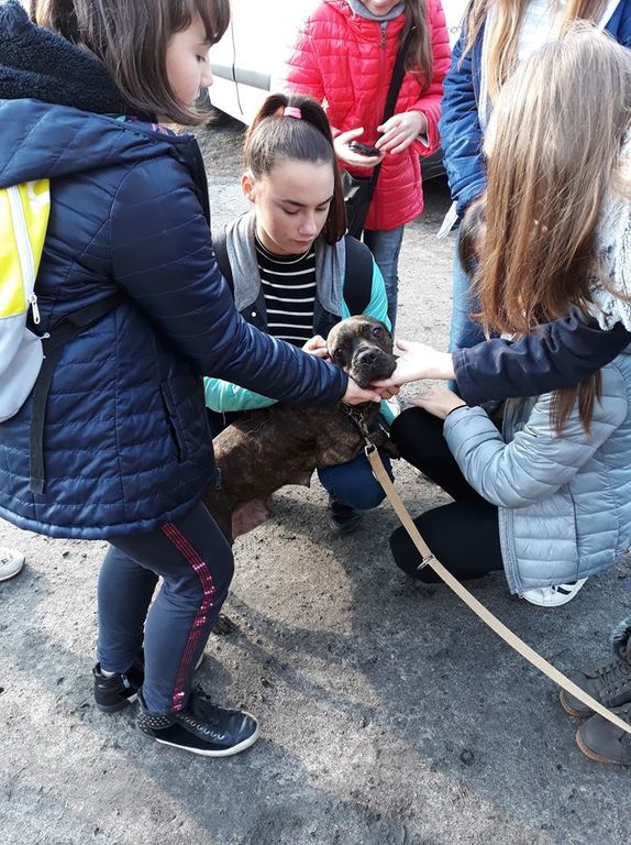 45579943_395567924315483_6531827001521602560_n.jpg 45579943_395567924315483_6531827001521602560_n.jpg