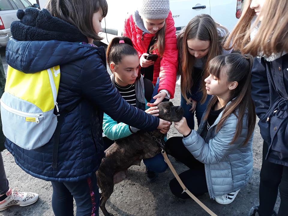 45688677_177094749906032_3532453615610363904_n.jpg 45688677_177094749906032_3532453615610363904_n.jpg