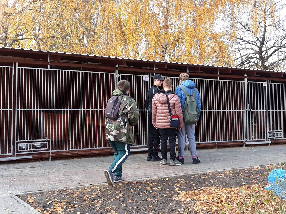 45892967_560348477739367_8395783176659664896_n.jpg 45892967_560348477739367_8395783176659664896_n.jpg