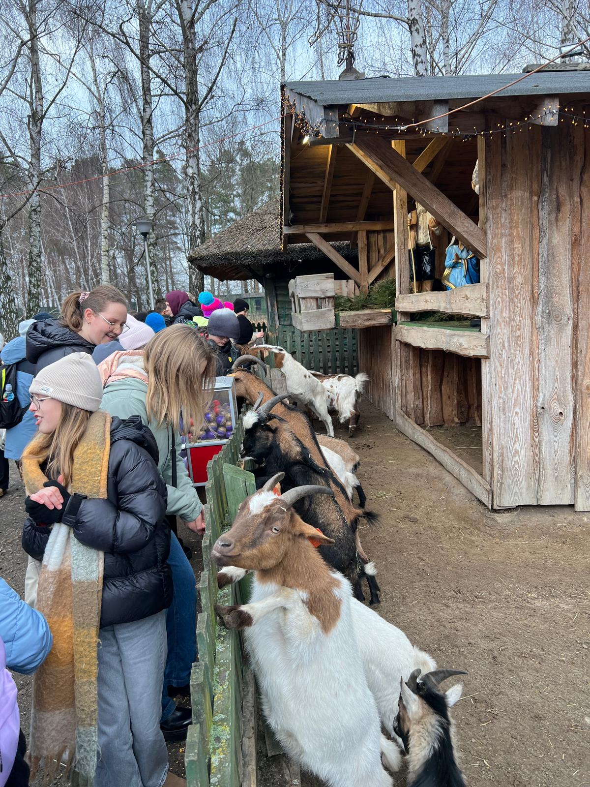 qlzf9378.jpg [1200x1600]