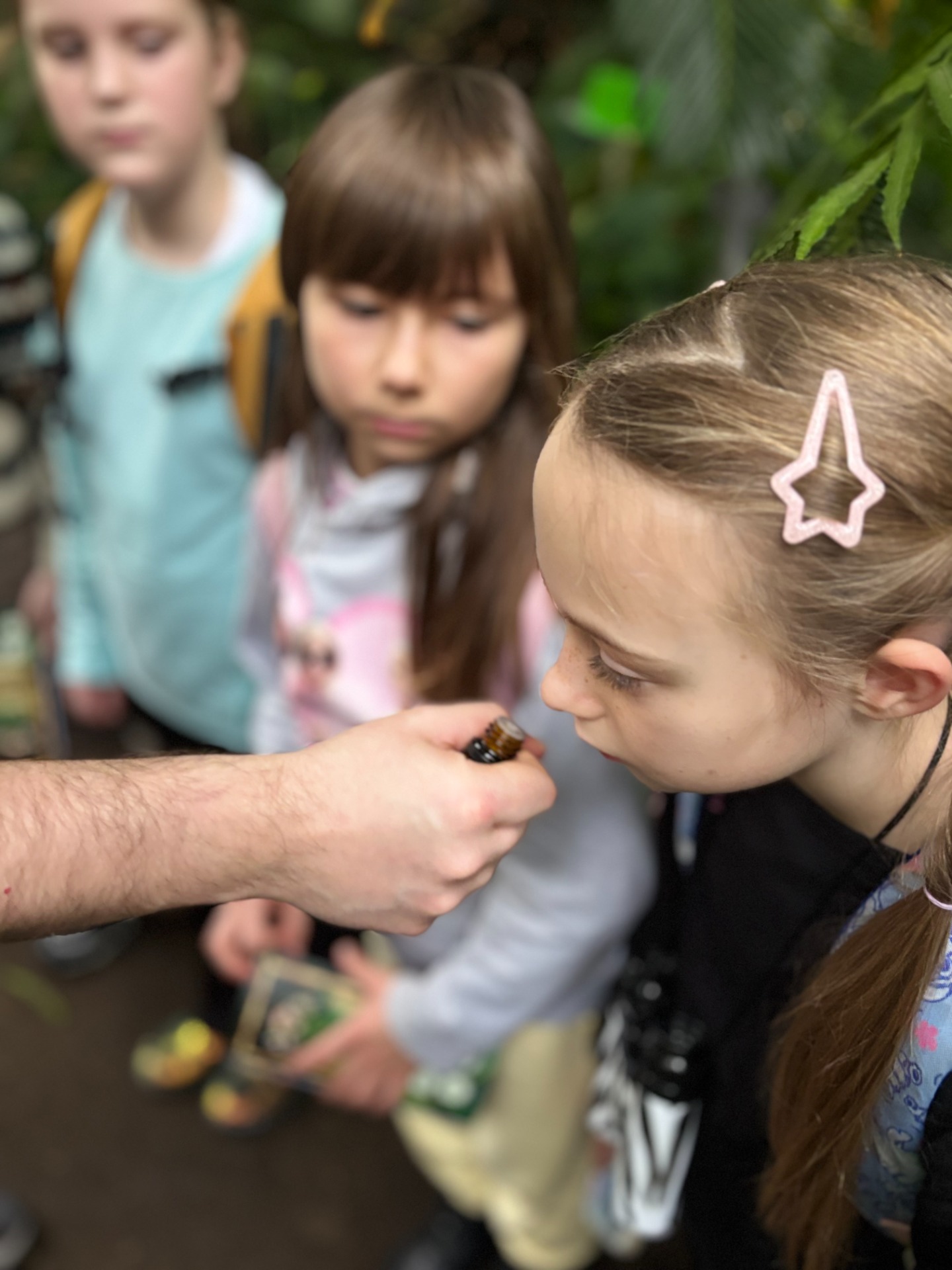 img_e0951.jpg [1440x1920]