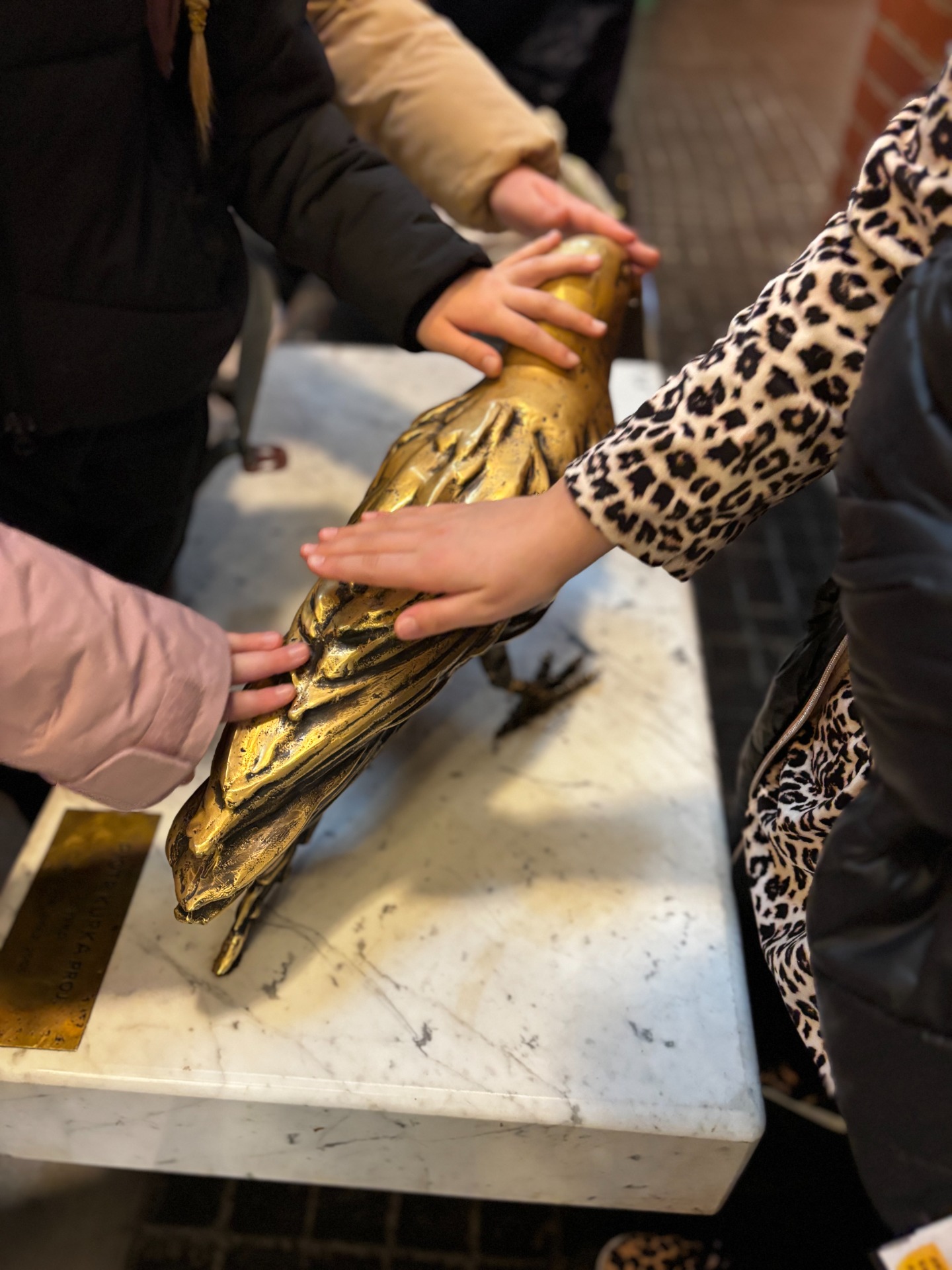 img_e1014.jpg [1440x1920]