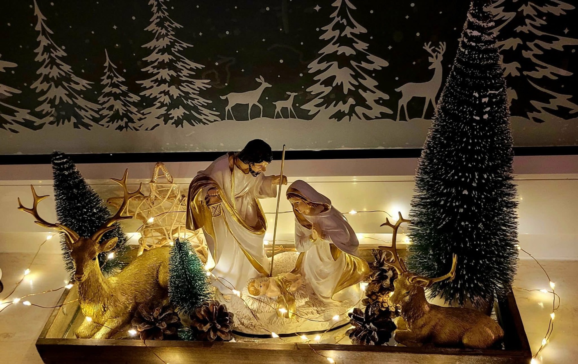 img_2701.jpg [1920x1209]