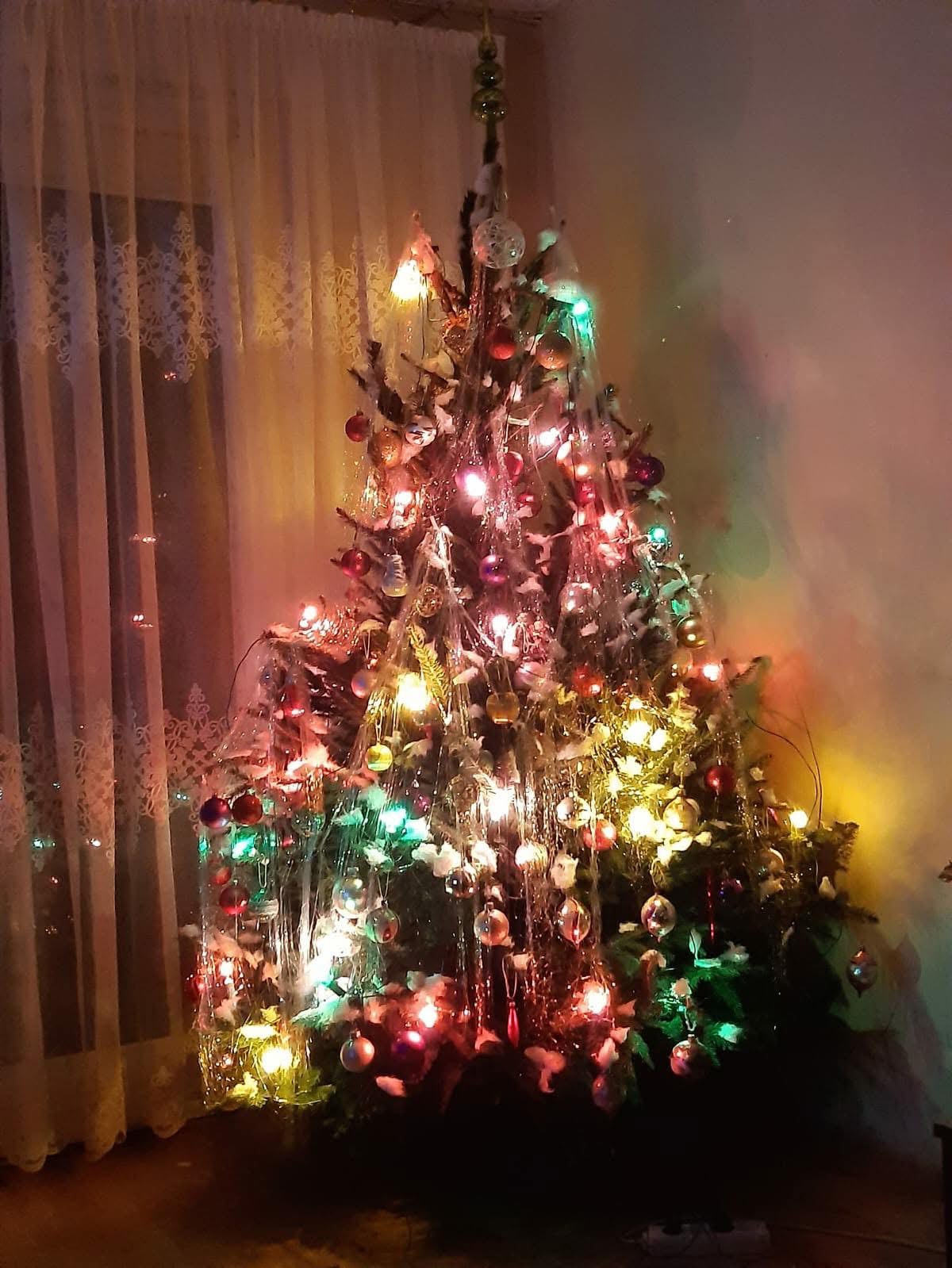 img_2719.jpg [1200x1599]