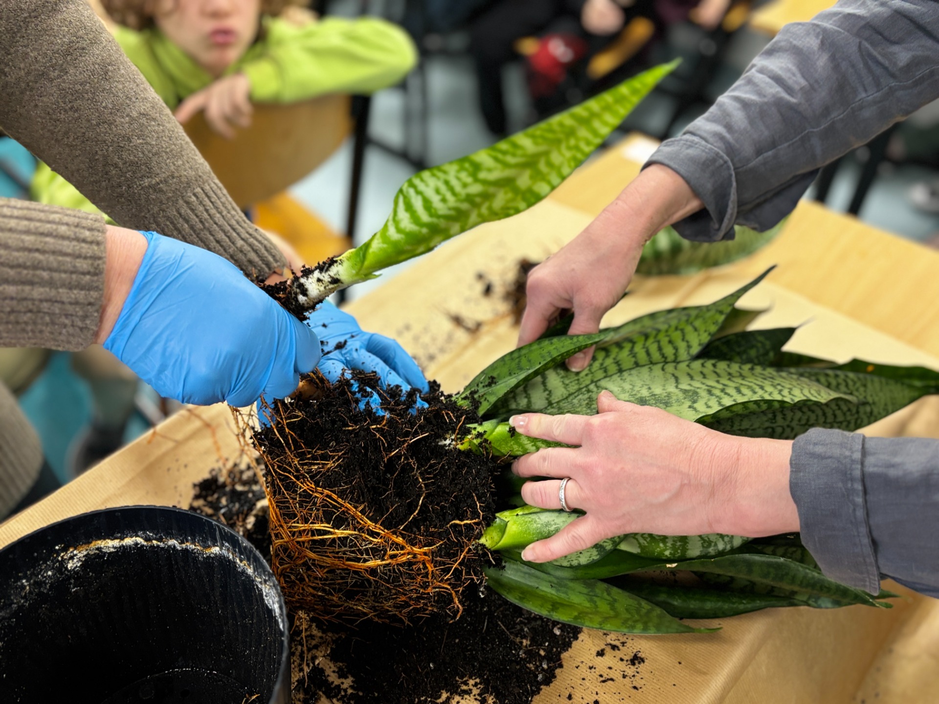 img_e2973.jpg [1920x1440]