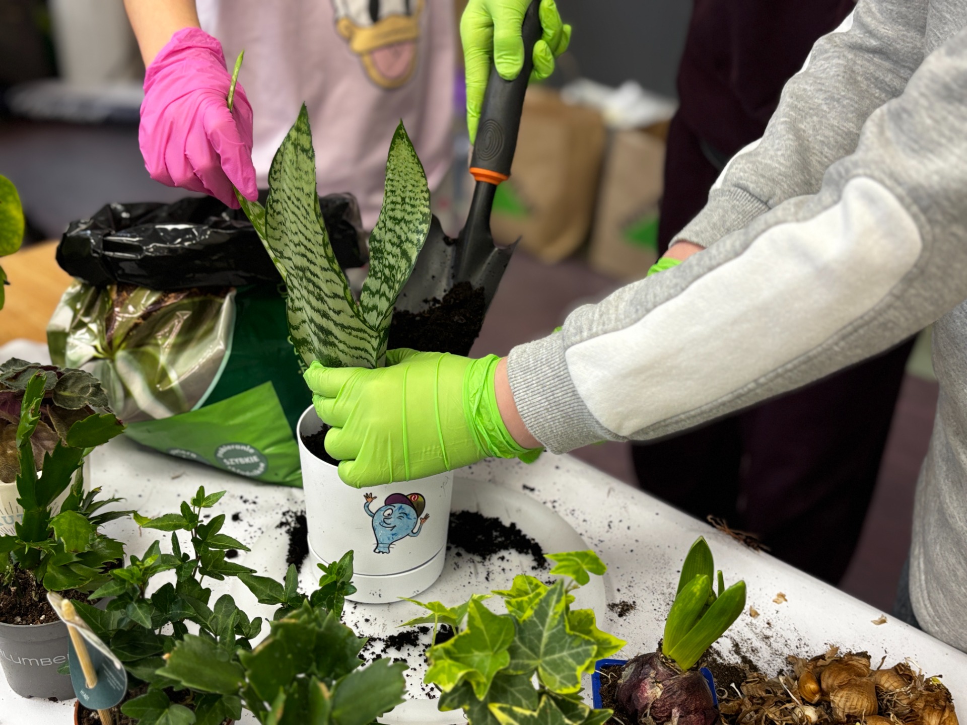 Tutaj powinien być opis