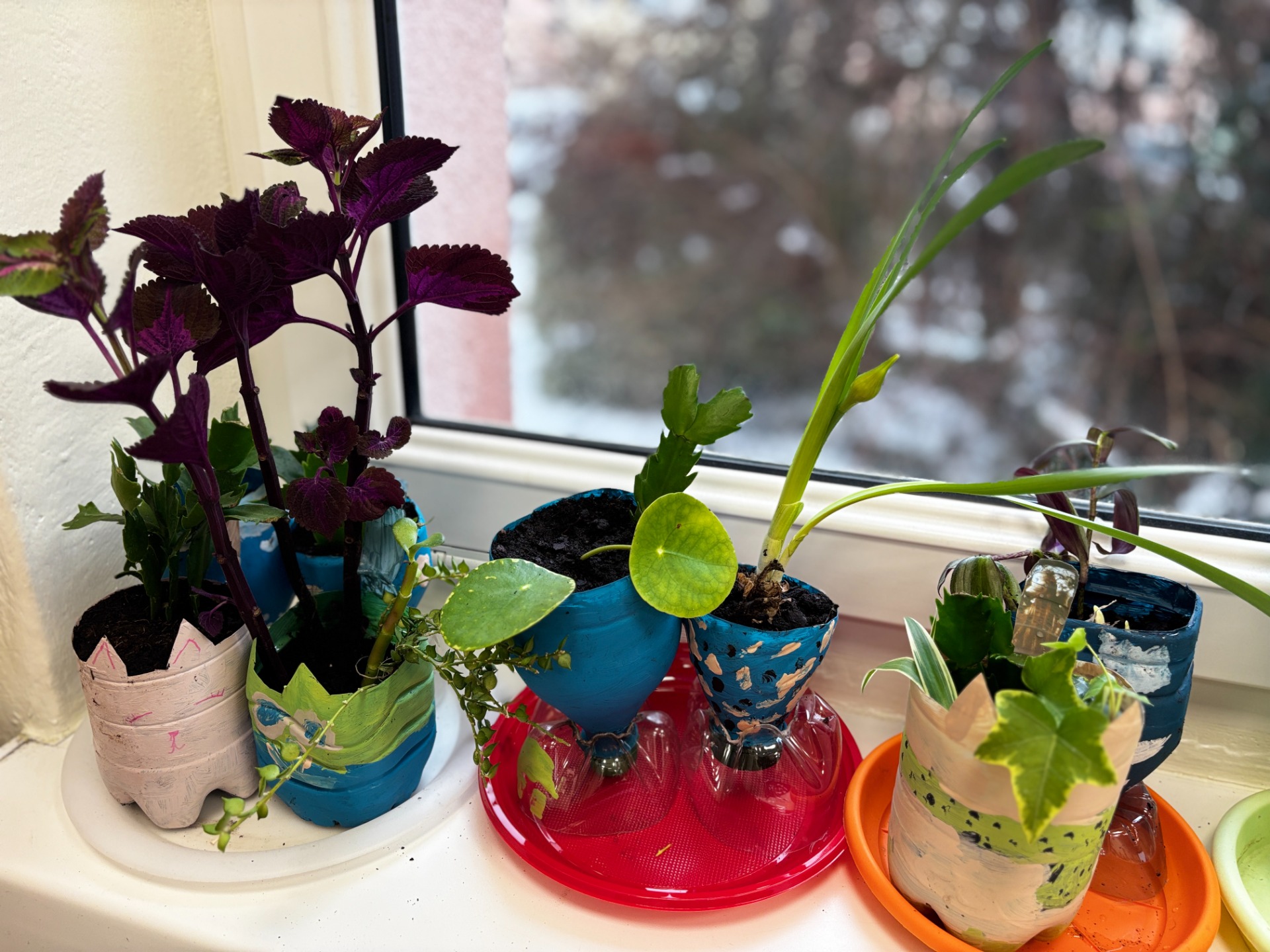 img_e3085.jpg [1920x1440]