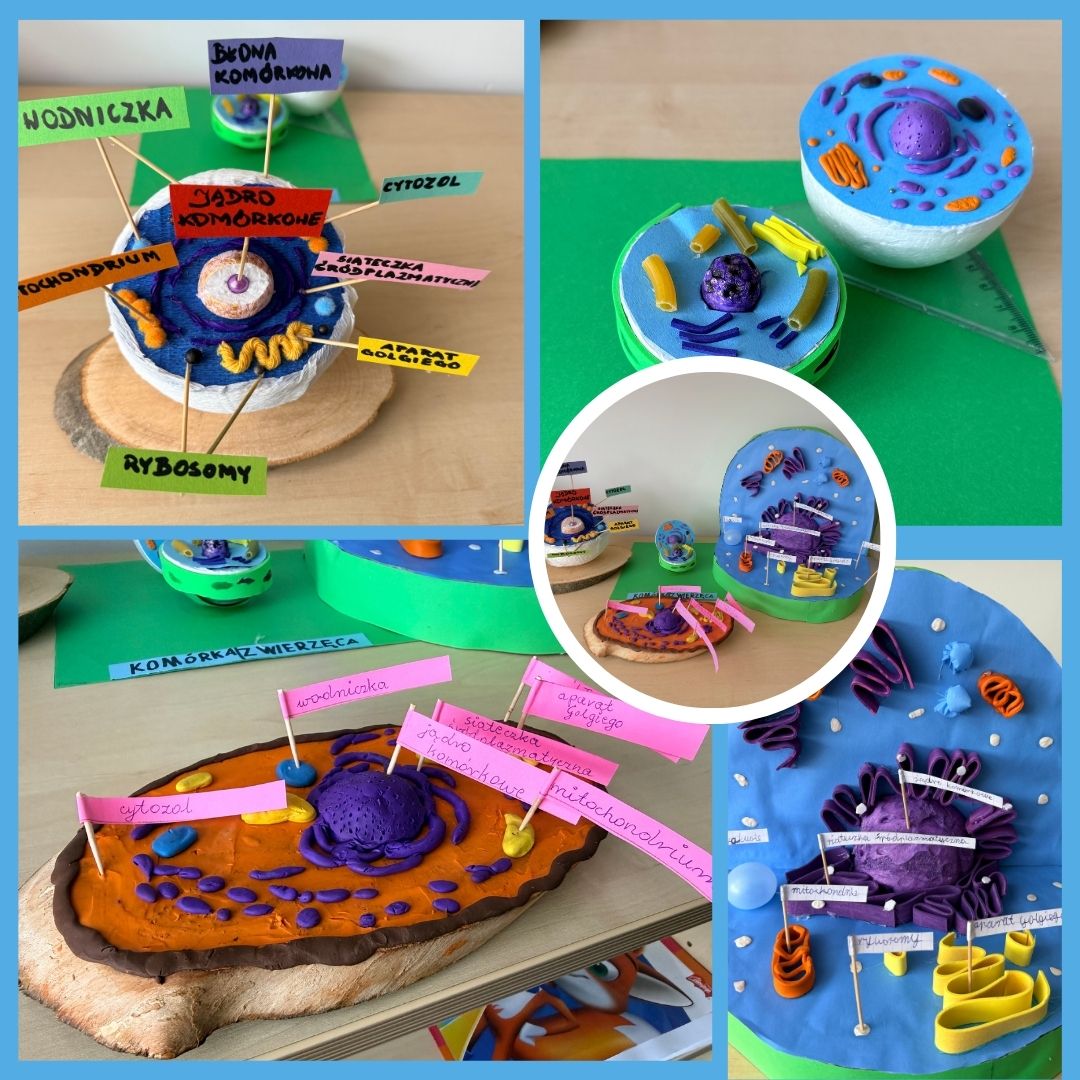 Tutaj powinien być opis obrazka