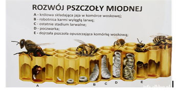 przechwytywanie_1png [348x178]