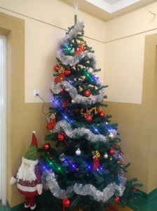 129078157_227558022132064_3435865431847198476_njpg [224x300]