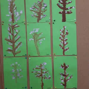 161816071_766670154040196_7570740476956885400_njpg [300x300]