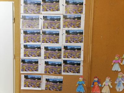 165444413_288758349285541_5931609652613379249_njpg [400x300]