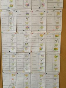 165797704_188191186220143_5470939400370687052_njpg [225x300]