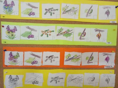 185393786_303480024650469_6504362100975513467_njpg [400x300]