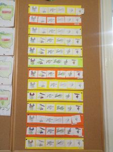 186339286_496946181452210_3524692309192946058_njpg [224x300]