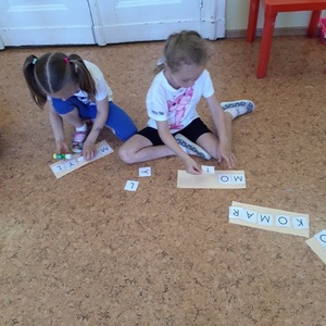 186464330_326317888853166_4953477755458271924_njpg [300x300]