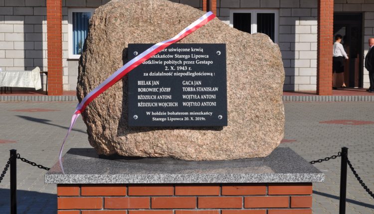 Tutaj powinien być opis