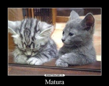  matura z jmatematyki