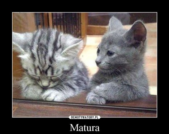 matura z jmatematyki