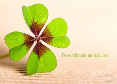 Powodzenia