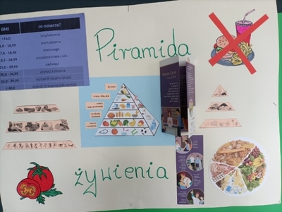 Piramida żywienia