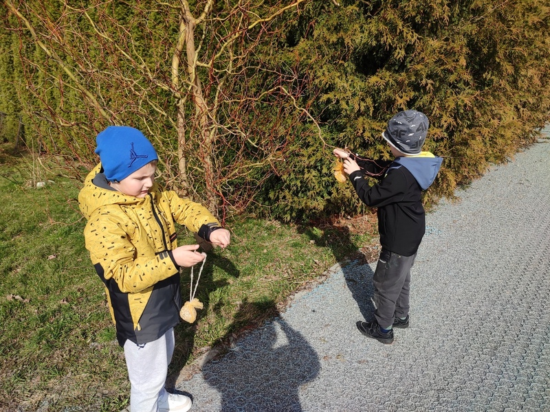 Zdjęcie