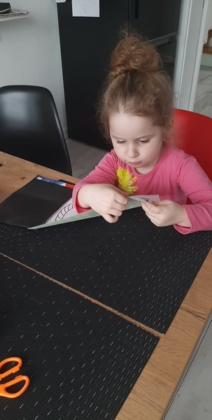 Zdjęcie
