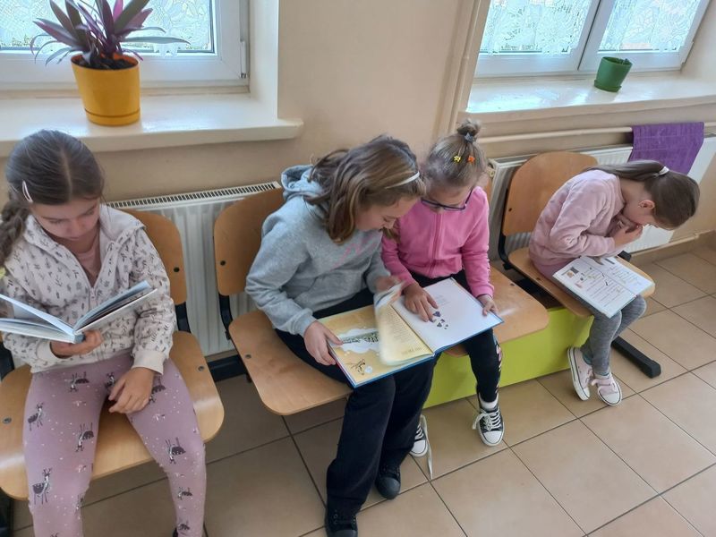 Zdjęcie