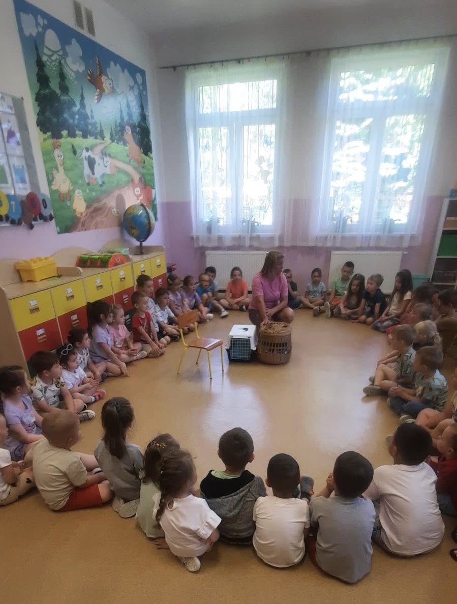 Tutaj powinien być opis