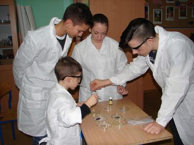 Uczniowie sprawdzają obecność skrobi w produktach spożywczych przy pomocy roztworu jodyny.