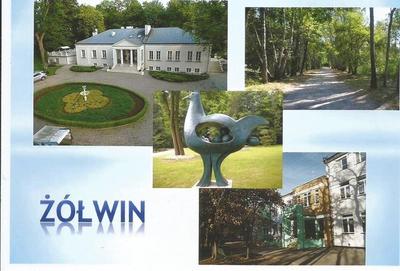 Żółwin