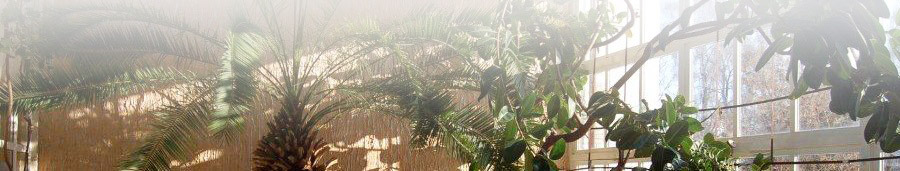 baner_stopka