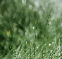 Wirtualny spacer1