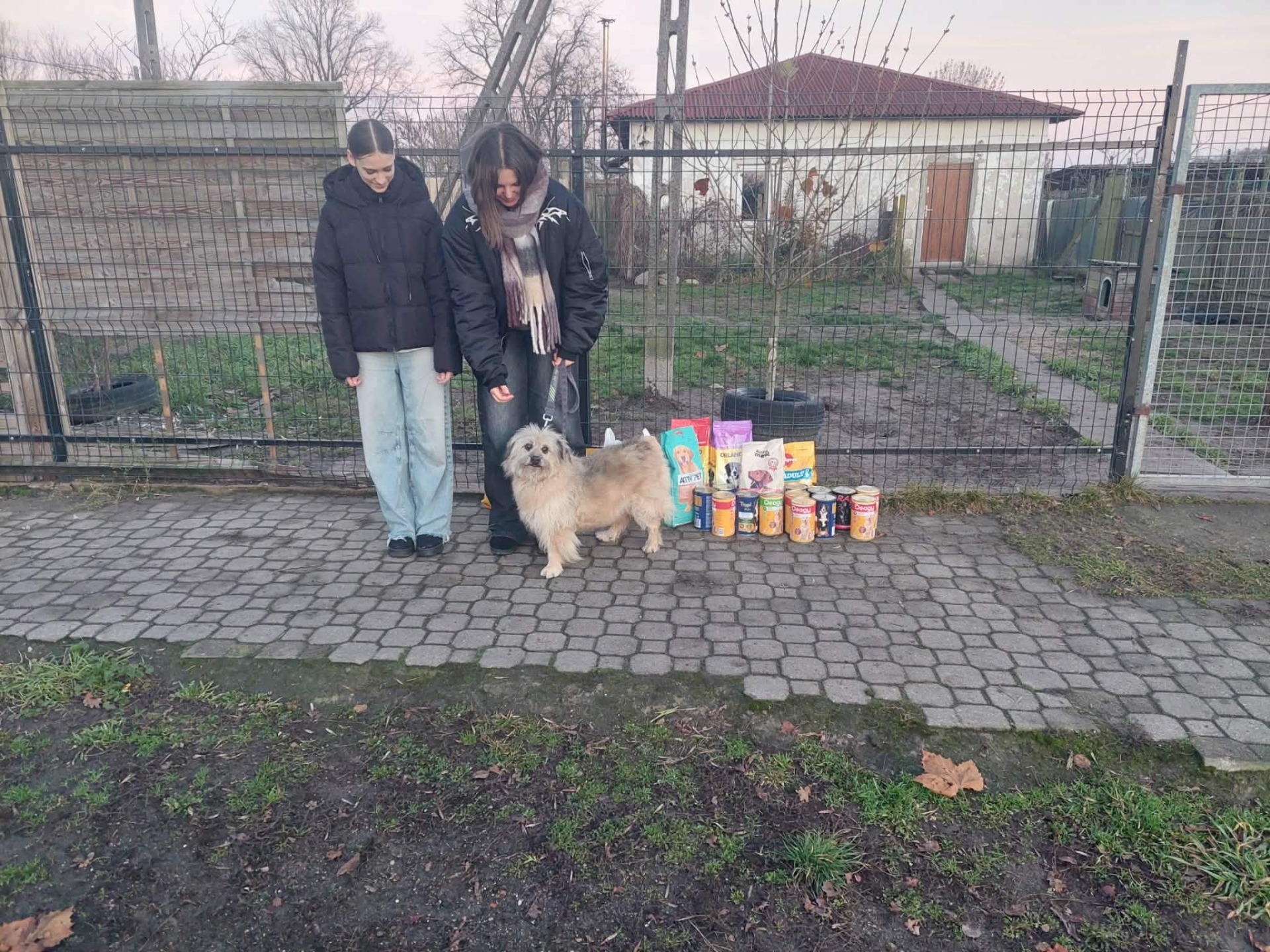 Tutaj powinien być opis