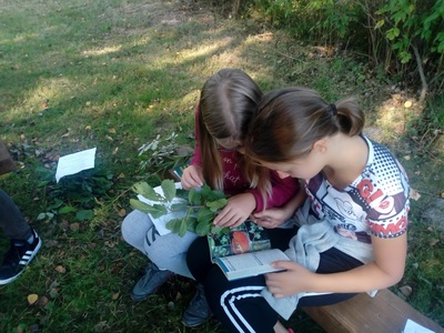 Lekcja terenowa