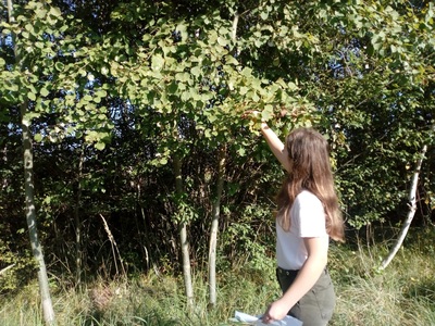 Lekcja terenowa