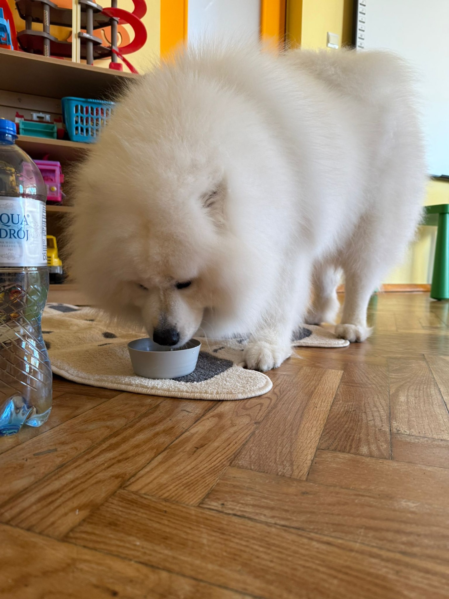 Tutaj powinien być opis