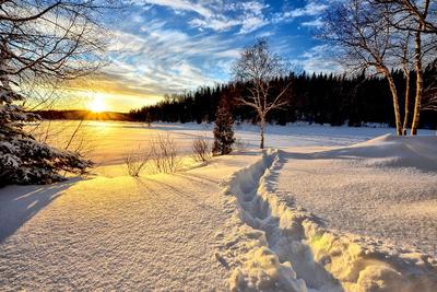 fot. Alain Audet