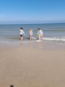 Zielona Szkoła - 2025