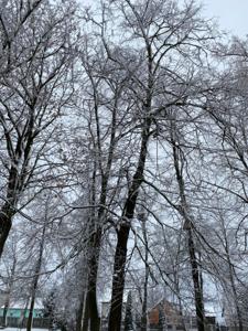 Listopadowy plener "Zima w obiektywie" - 2025