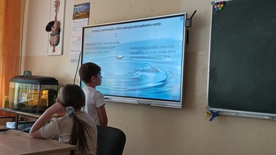 Dzień Ziemi  - 2024