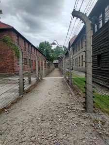 Wycieczka do Oświęcimia 2024