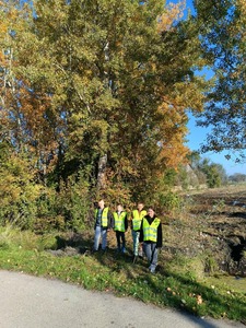 Spacer do lasu - 2024