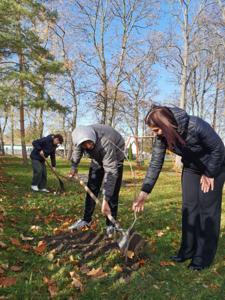 Drzewa dla przyszłych pokoleń - 2025