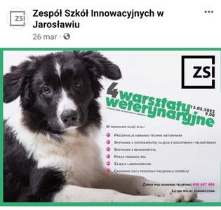 Warsztaty weterynaryjne