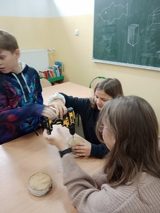 Badamy właściwości drewna